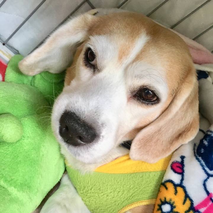 A8347f85 9e66 48b5 a51e 5d33db017f19 1548131387654