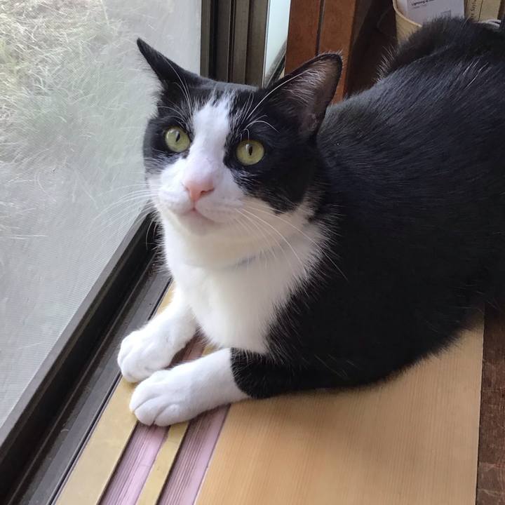 A834a093 f9f9 44b1 9b7d 337014218130 1715763944715