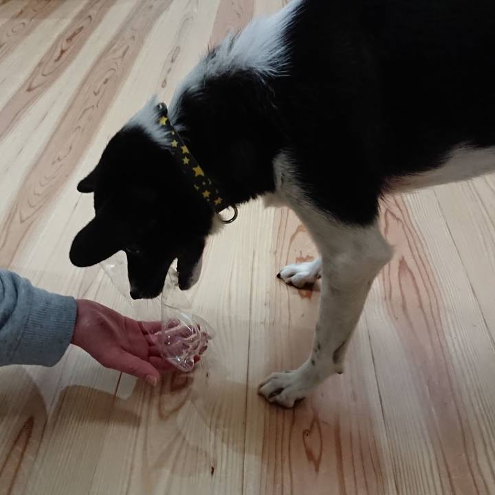 A834a905 976a 40a0 8c9a eb2a23237258 1573389382052