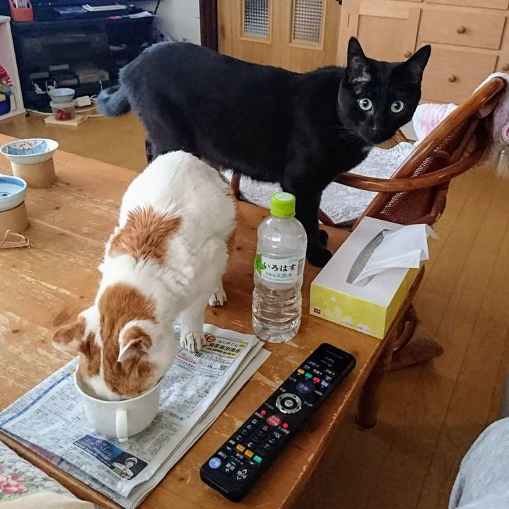 A834d552 9adb 4c35 b38c 1a2453f2471e 1738416213302