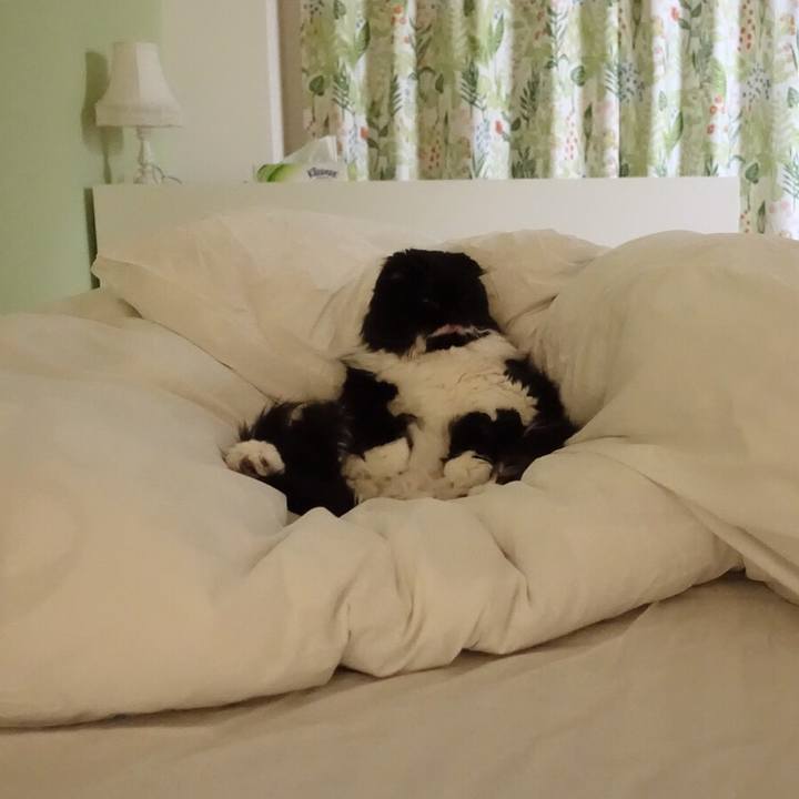 A834f8bf 34ef 4921 b365 57165f5ff56b 1511533371641