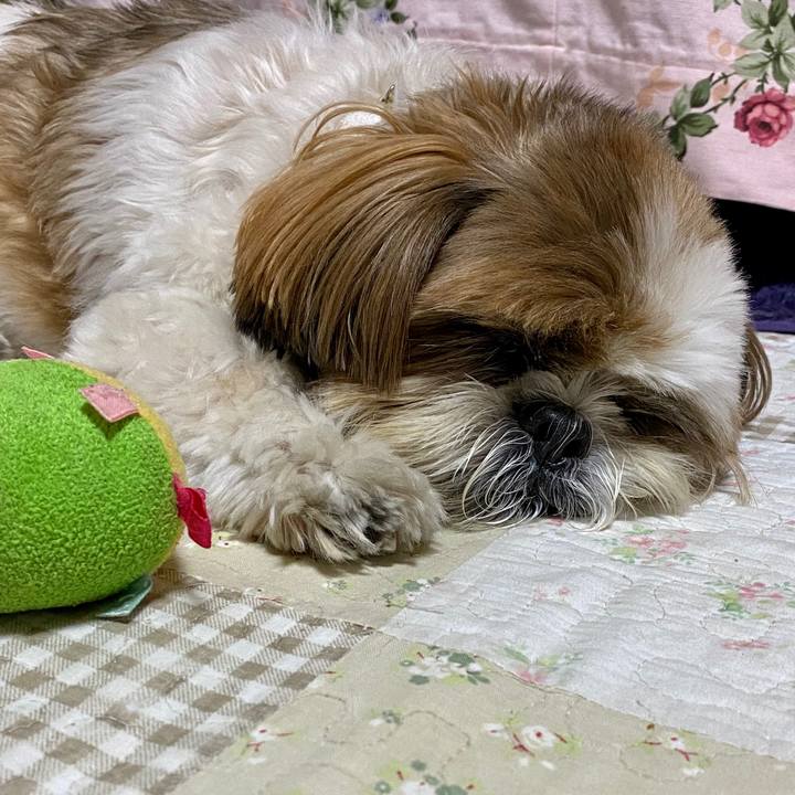 A8354a94 9f5f 4378 b487 27e6ce049e49 1599567013167