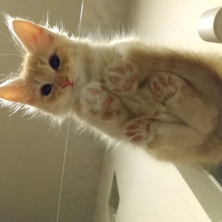 A8354ec9 a37b 48b4 a15c 453e3557ef99 1602943913130