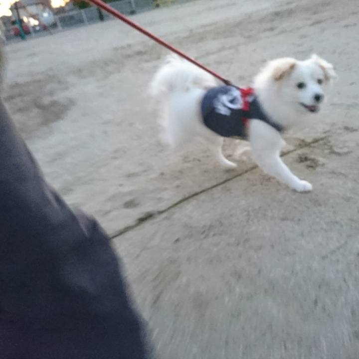 A83566c5 1c86 4b99 863f e2c5001a7bbd 1515966903095