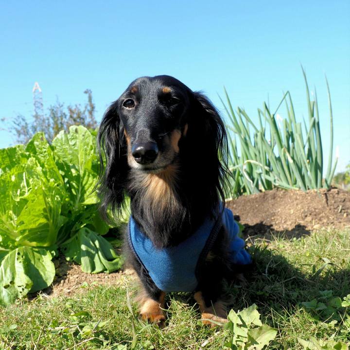 A83581f7 f1a6 44b6 8bb8 9480a4ff1529 1573180016332