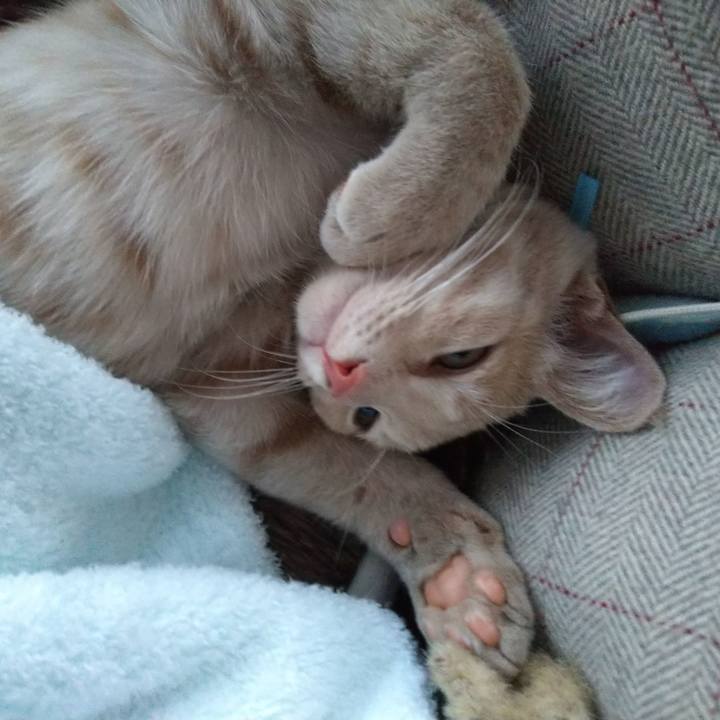 A8359d0c 9664 4b18 878a 2dc196377f91 1542957076552