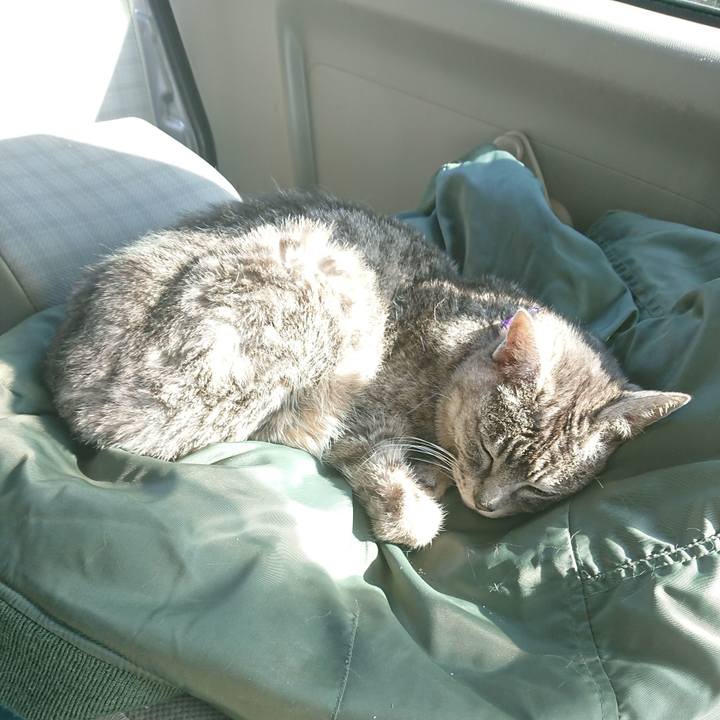 A8359f23 8aa1 4596 96f0 4b26ec79b0e9 1583563432422