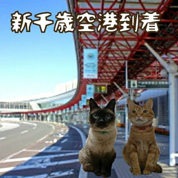 A835b0db 9c92 47d0 829a d2bb666b3998 1524889032510