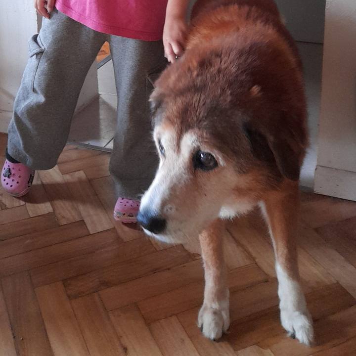 A835f0e4 debe 44af a2c7 e326b7920701 1762130443771