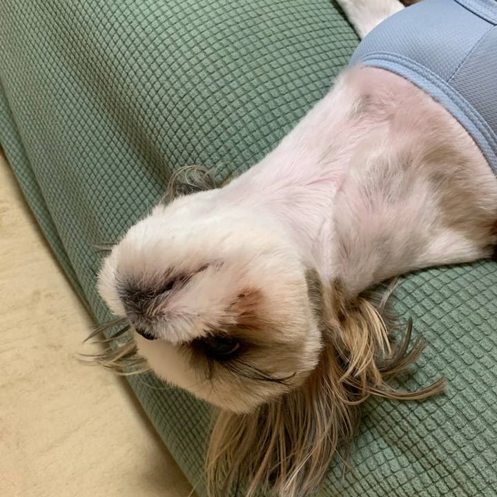 A83614f9 72da 4219 be4f 019d6c28138d 1631534584239