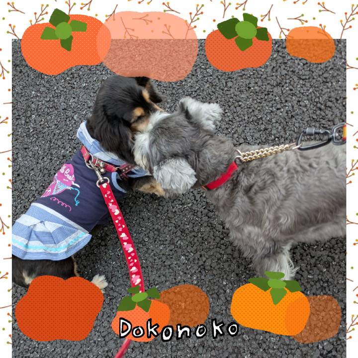 A836234f eab1 4ca8 8a57 656dd7cafdea 1761215585489