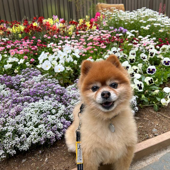 A83624b2 c2c8 40e3 a045 90e1ccc50ef4 1682257128684