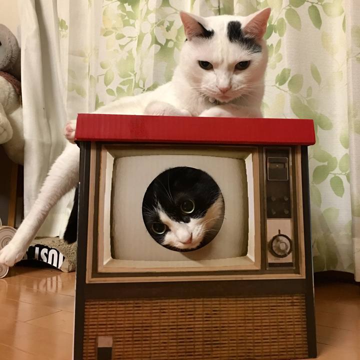 A8362741 88a8 4509 aba9 408b2a786c39 1562118174274