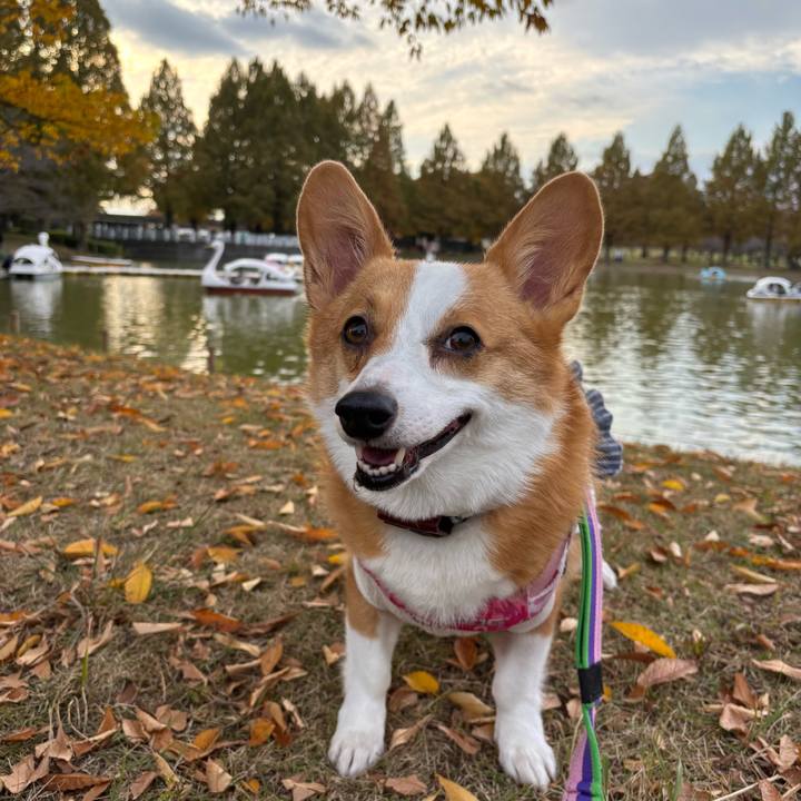 A8363a97 7af8 4543 974d e10aa4d99c48 1763286968556