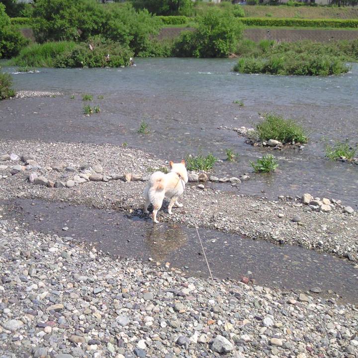 A836ae87 957b 4135 b900 7e5bc0a2ca46 1656390703338