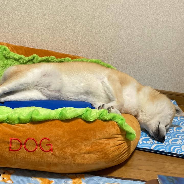 A836bff1 9eb9 40cf 88ac c96b836549f5 1625488554363