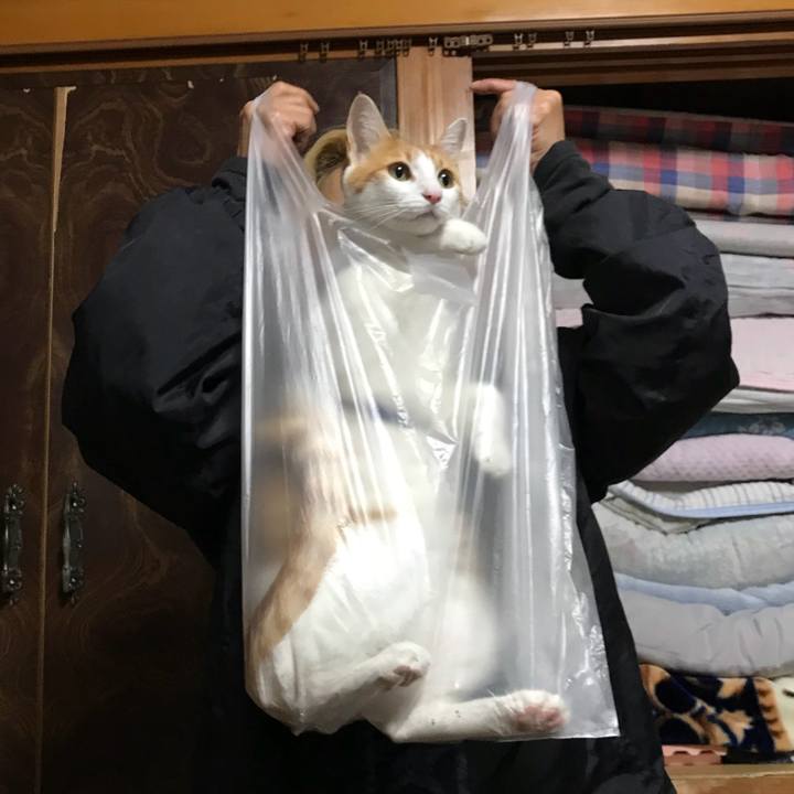 A836d249 917f 4e68 bd60 8ffd6ef4c1a0 1508075521821