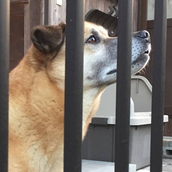 A836dddd 38e2 4f74 8af8 89fdb33e11b2 1522154250857