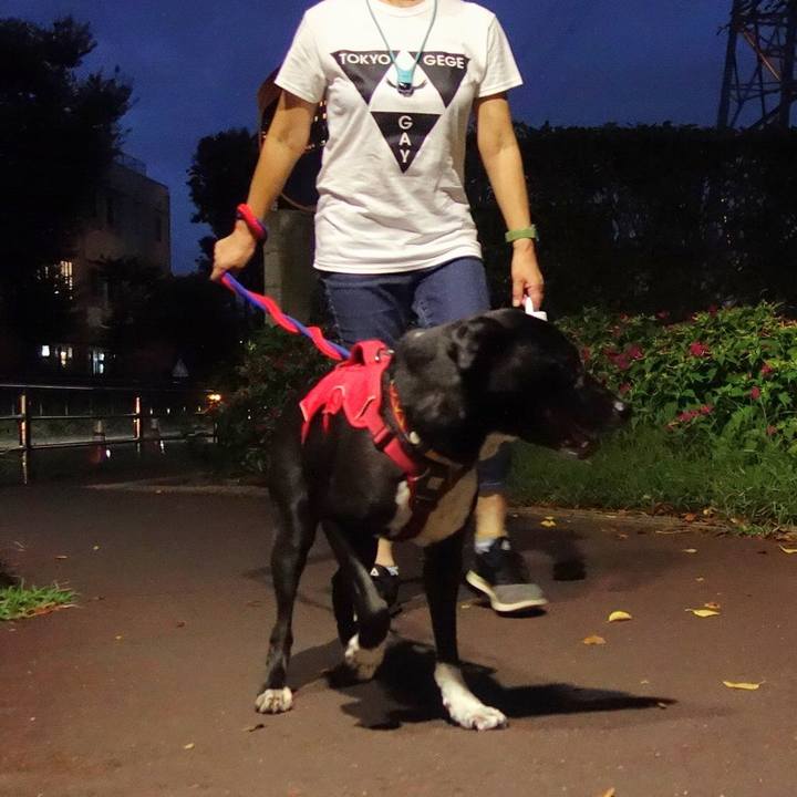 A836ec58 ef2f 474a 8fee da3408bba7f8 1600338836578