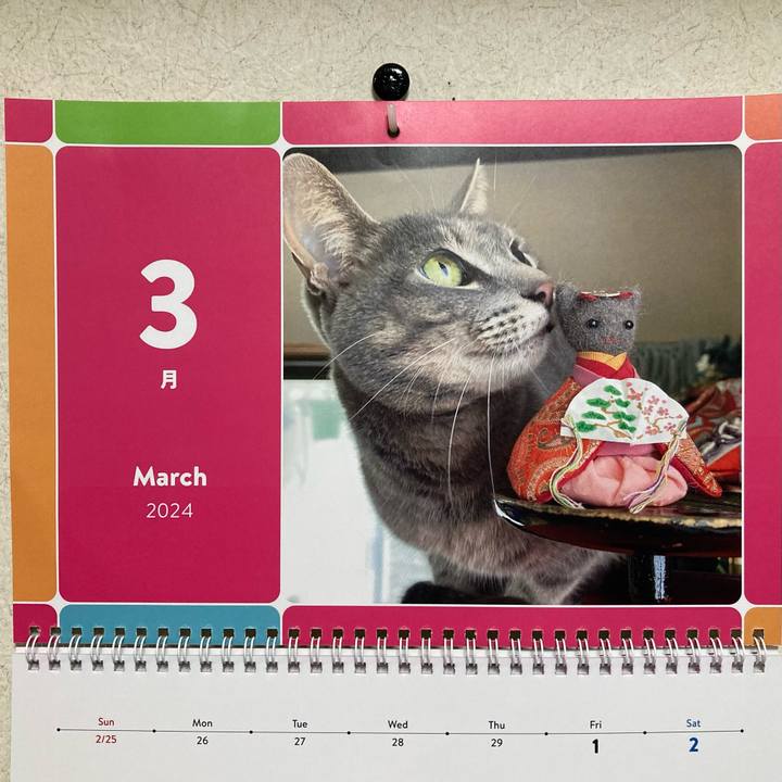 A836f8dd aac0 4b48 84b1 715cc0f4de30 1709246008393