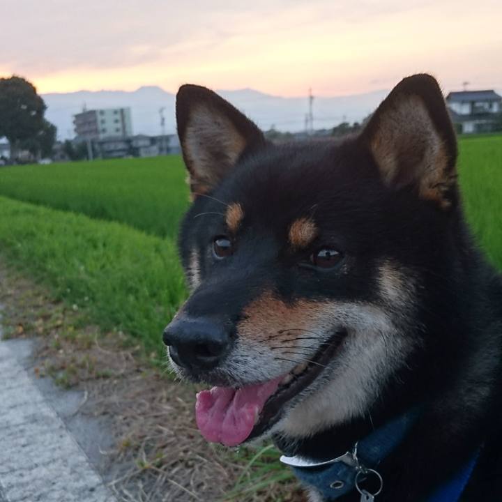 A8372fb5 b62a 442d ba73 e79a8ea32c94 1532610281866