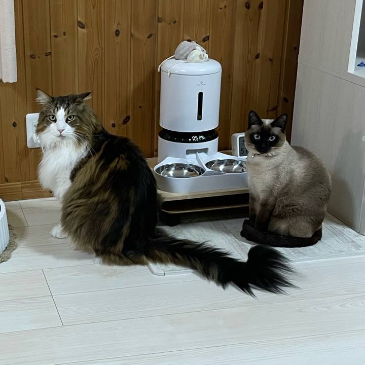 A8373806 9d98 4527 8b3b b0b638f6a745 1737578254902