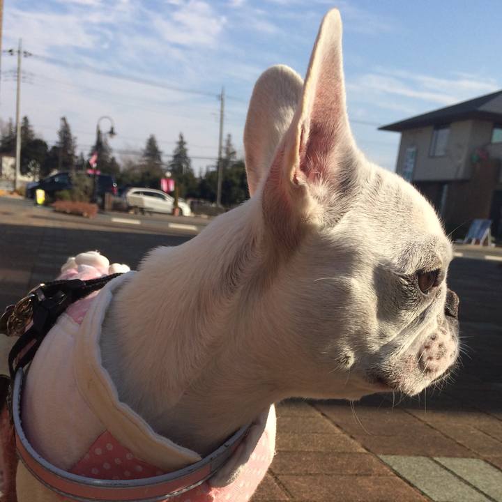 A83741d5 09f2 4c1a bdff d183491209ab 1518266509148