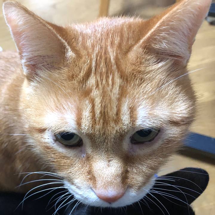 A8374c09 45ba 4e78 b7c1 958b19842d5c 1735998362729