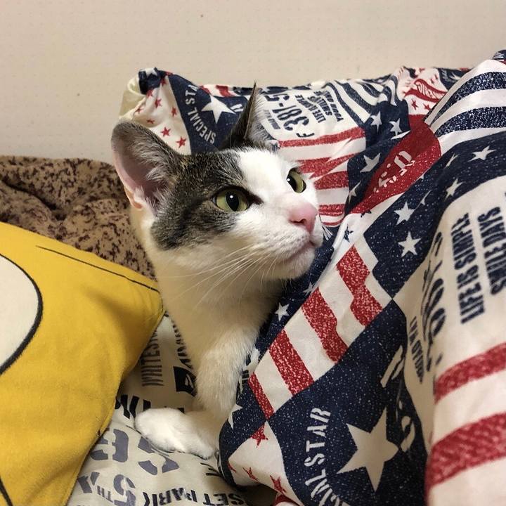 A83769ee d9b9 4b4c 8344 135e6d2fc152 1645967331972