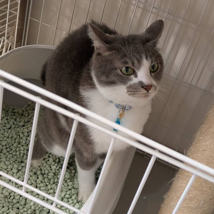 A83772df b68e 4463 84c5 ca413cf86e5e 1731886264870