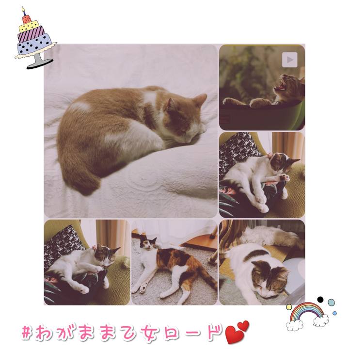 A837a082 23b2 4394 90d5 ce25cb265d89 1567481080229