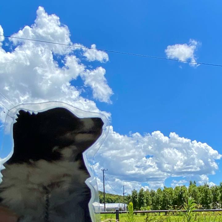 A837e924 7a7f 43c8 8058 6408518c684b 1753326602844