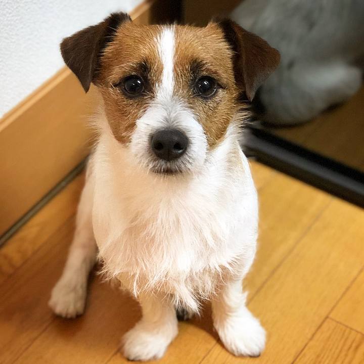 A8382489 4df3 47a5 9297 7a971a7c08c0 1516189205812