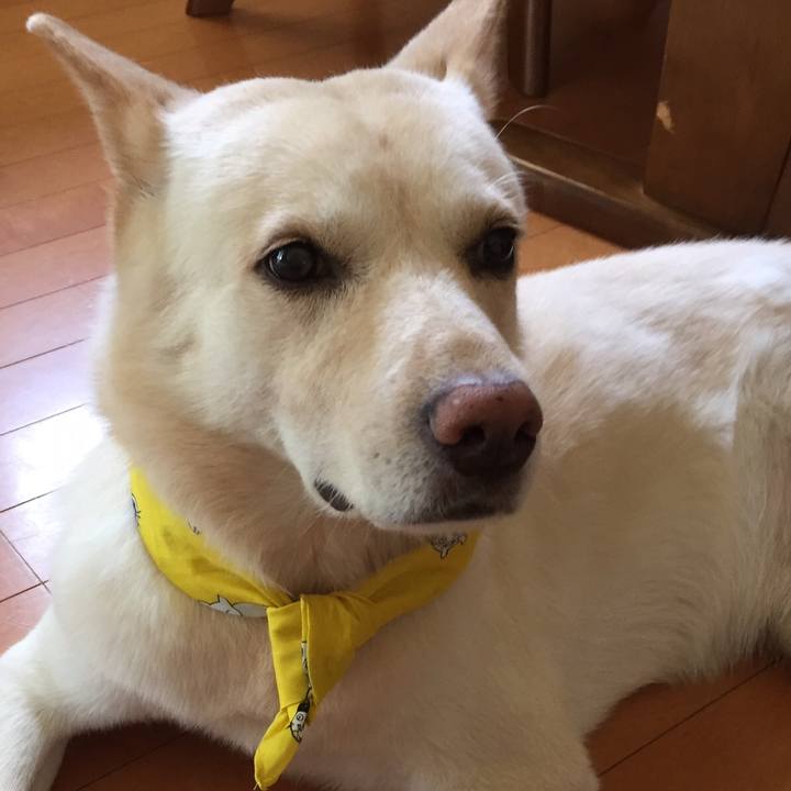 A83842b7 8576 4d81 b46e ba1e55ce5fdc 1521681552391