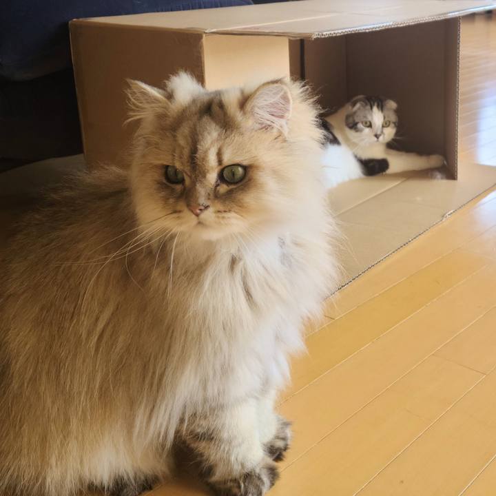 A83861f1 d6b0 437e bf65 5cea2b6308d7 1649135376720