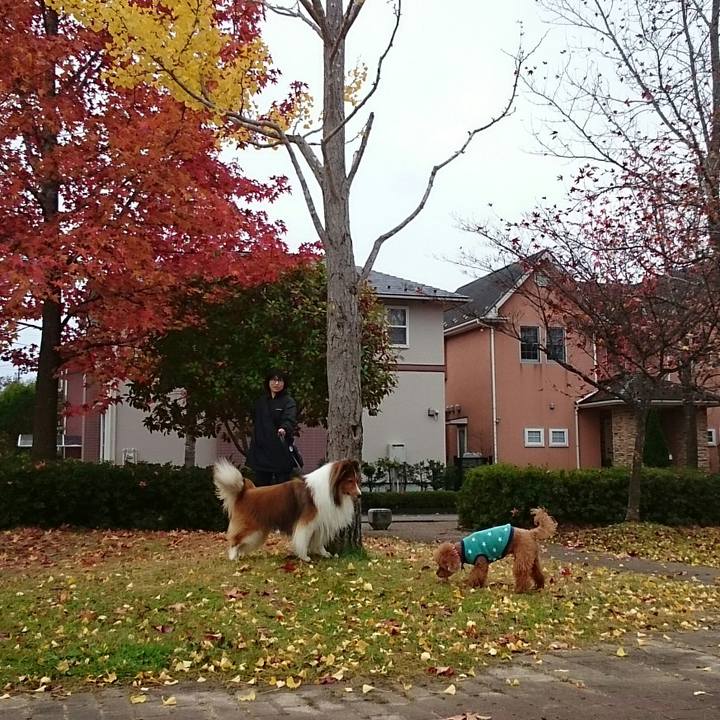 A83863fc 1a94 4112 b90e 6c3c215ad196 1510104142630