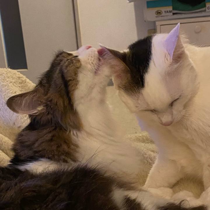 A8387f93 6359 4e04 beb8 fc581209bcb8 1675383356474