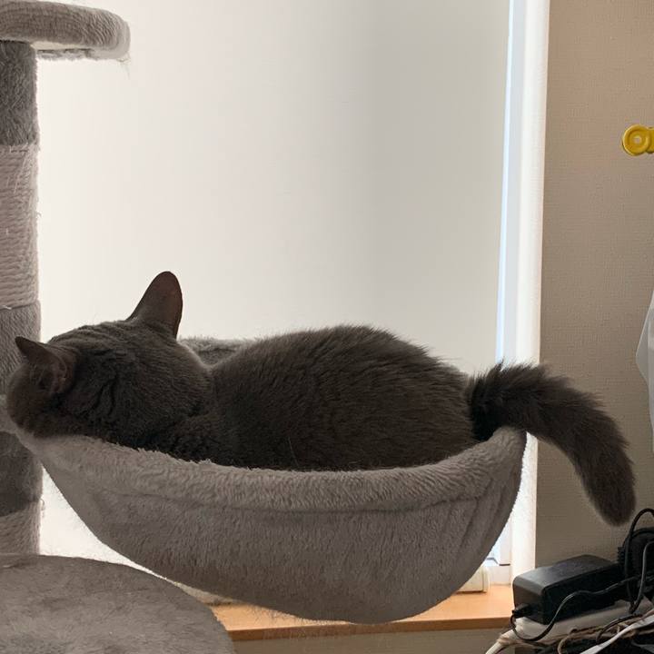 A8388d23 4b0e 437e 8c21 6edcf88edc43 1753675083358