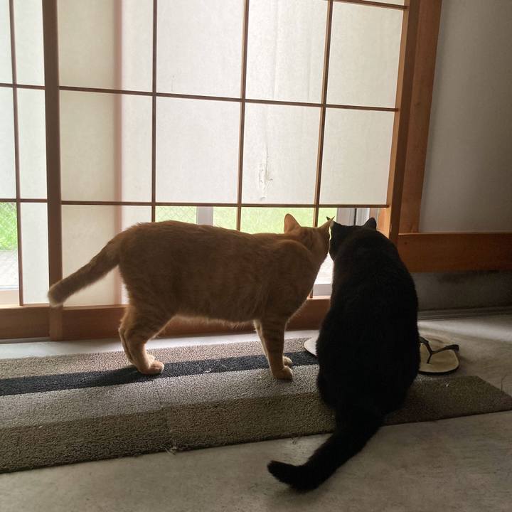 A838b7aa c11f 46cf 9c04 dd86784a8936 1600439024416