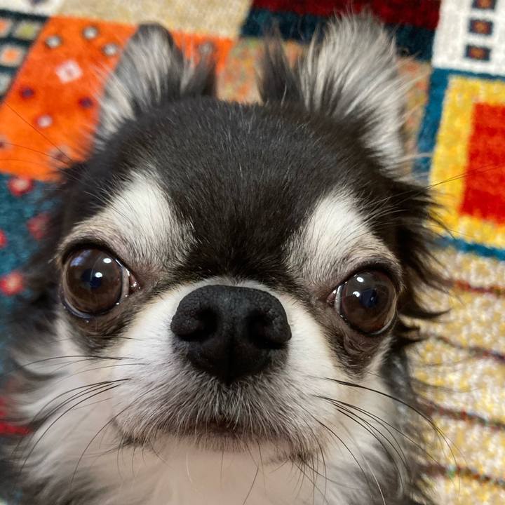 A838dc29 8eb5 4781 9d31 f2fd34043c13 1679698293718