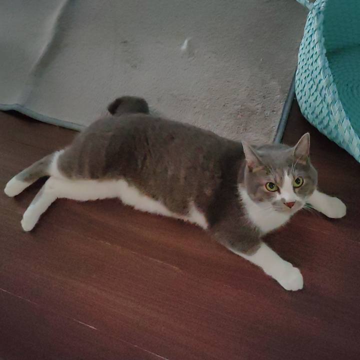 A838ec51 9273 4bf7 bf61 14aba9a7a30b 1722465069077