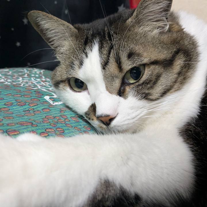 A838f1ea 824b 4058 a529 372d2cacb7ed 1770729884733