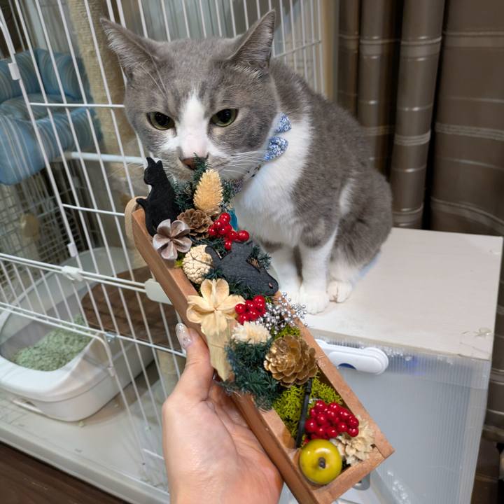 A8390cb5 34a3 4cd7 b824 bf33c7126795 1733570742825