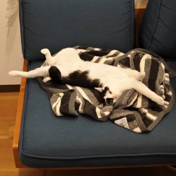 A8396224 161e 447b b3d7 cf5e23f24cb3 1517416275894