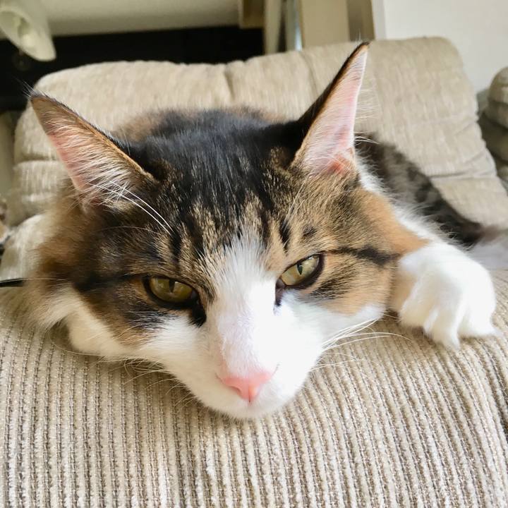 A83998f9 e50e 4676 8638 525686a18011 1509753249998