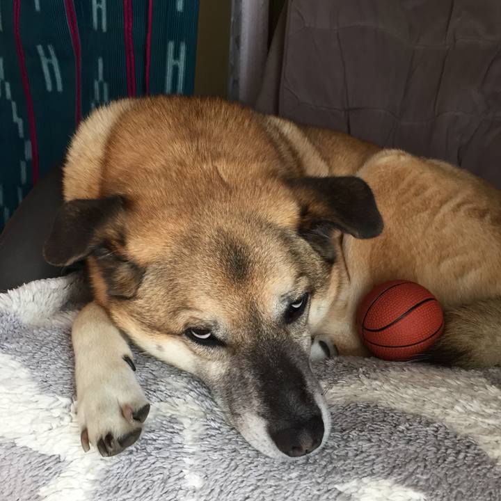 A8399cc4 709b 4fb8 8ca4 d578f353b662 1523420322747