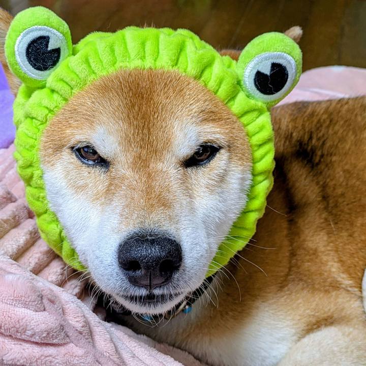 A8399d99 d633 4fb8 a4fe dc34376ee883 1746853352506