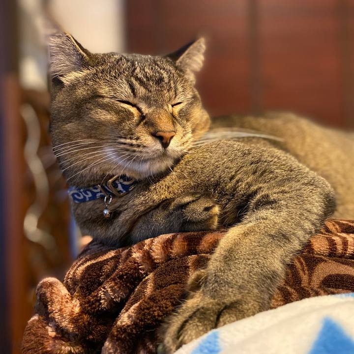 A839c52b 03a6 43f8 8546 13d2e637eaa2 1574556808290