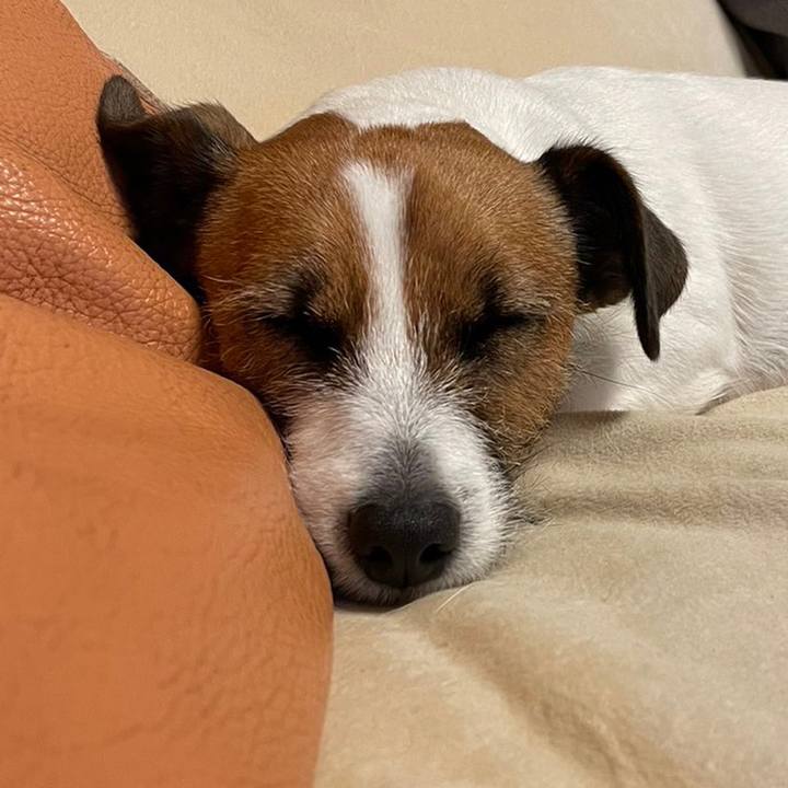 A839d730 c5c1 4212 adf8 64fcac4d1620 1698061755765