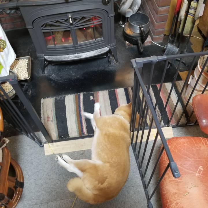 A83a1903 5f88 46a1 9954 340055615502 1701560435981